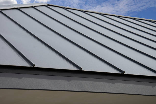 Best Roof Moss and Algae Removal  in Evans, GA